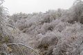 Extremer Eisregen in Bulgarien