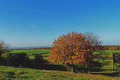 Spätsommer Anfang November