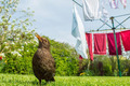 Die schönsten Natur-Fotos 2014