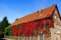 Der Herbst 2014 in Bildern