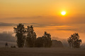 Der Herbst 2014 in Bildern