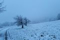 Der erste Schnee im Flachland
