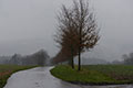 Auch Regenwetter hat seine Reize