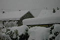Südbayern versinkt im Schnee