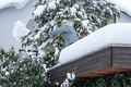 Südbayern versinkt im Schnee
