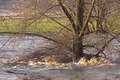 Hochwasser im Südwesten