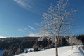 Wintertraum in den Hochlagen