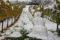 Welttag des Schneemanns