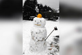 Welttag des Schneemanns