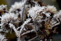 Reize des Winterwetters