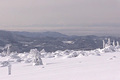 Schneemassen im Schwarzwald