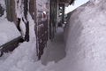 Schneemassen im Schwarzwald