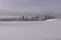 Schneemassen im Schwarzwald