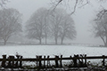 Nordseeluft vertreibt den Winter