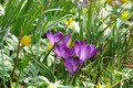 Endlich Frühling!