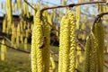 Endlich Frühling!