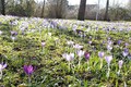 Endlich Frühling!