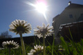 Sommerfeeling im April