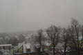 Ein letzter Wintergruß