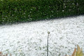 Gewitter bringen Riesenhagel