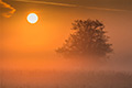 Sonnenaufgang an der Lahn
