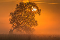 Sonnenaufgang an der Lahn