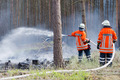 Der Juni 2015 in Bildern