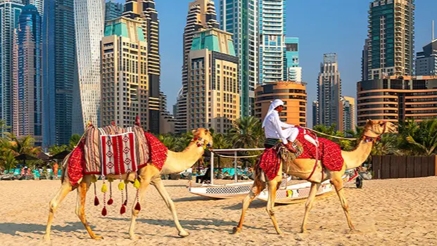 Abwechslungsreiches Dubai