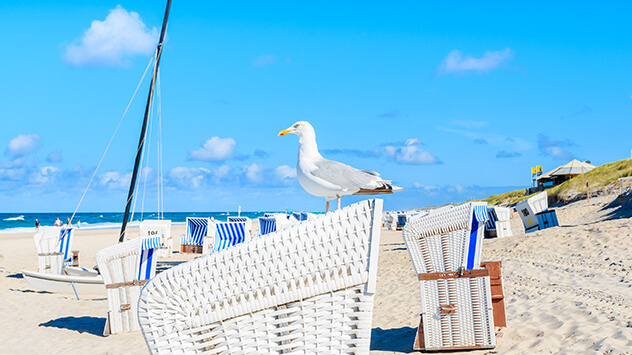 Tipps für den perfekten Urlaub auf Sylt